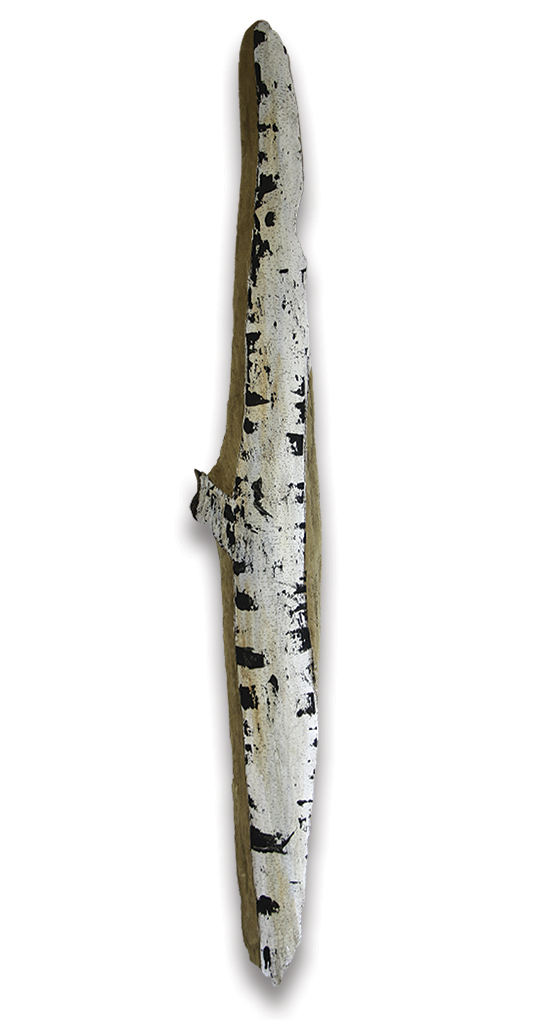 Birch2 Gicleé Art Print